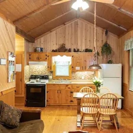 Cozy Cabin: River View With Hot Tub Dahlonega Ngoại thất bức ảnh