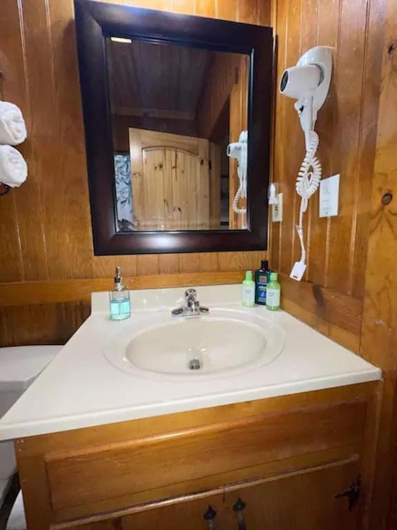 Cozy Cabin: River View With Hot Tub Dahlonega Ngoại thất bức ảnh