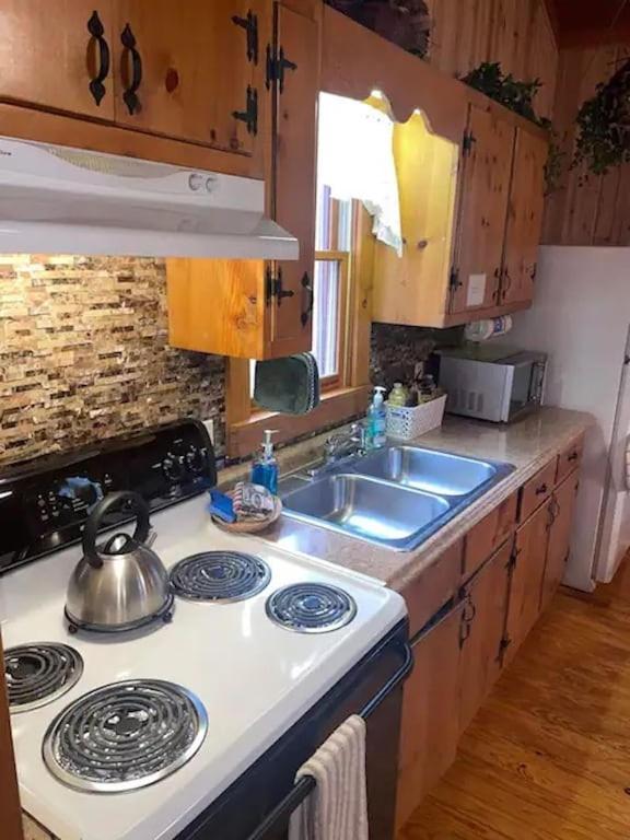 Cozy Cabin: River View With Hot Tub Dahlonega Ngoại thất bức ảnh