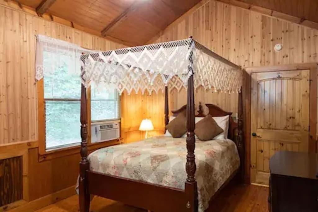 Cozy Cabin: River View With Hot Tub Dahlonega Ngoại thất bức ảnh