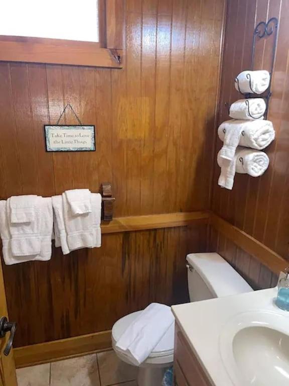 Cozy Cabin: River View With Hot Tub Dahlonega Ngoại thất bức ảnh