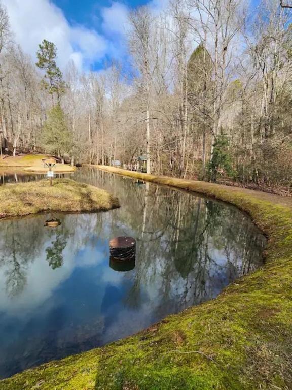 Cozy Cabin: River View With Hot Tub Dahlonega Ngoại thất bức ảnh