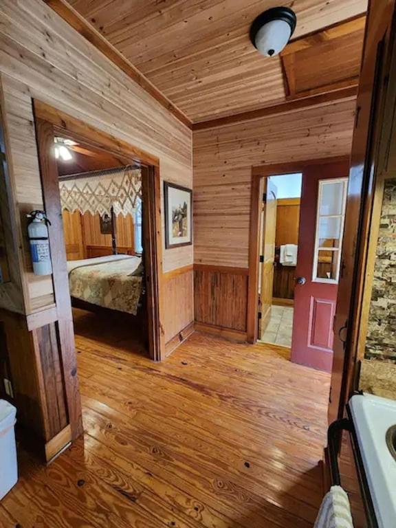Cozy Cabin: River View With Hot Tub Dahlonega Ngoại thất bức ảnh